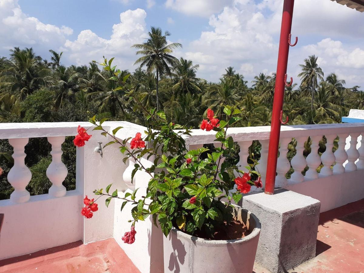 Holi-Wood Guesthouse Pondicherry Exterior foto